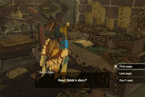 zeldas diary botw|More.